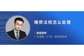 平阴为什么选择专业追讨公司来处理您的债务纠纷？